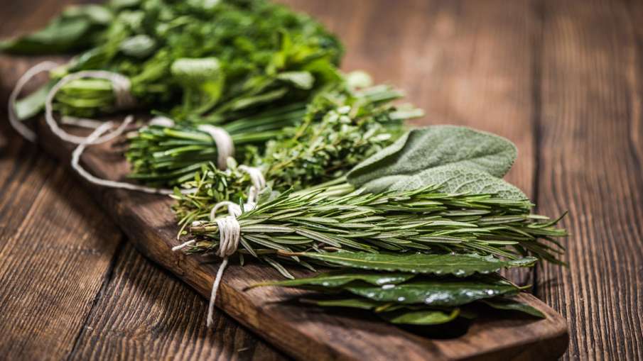 Herbs Herbs - India TV Hindi