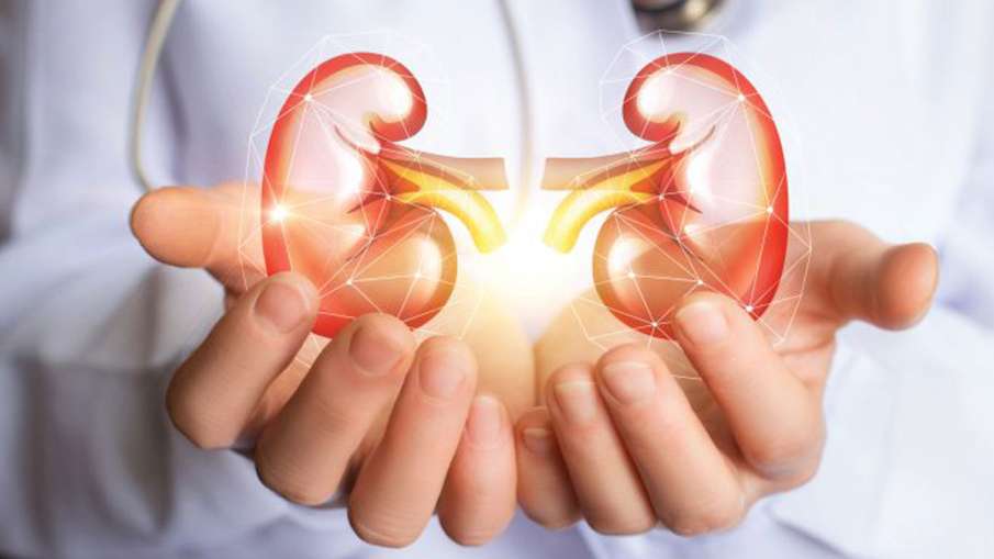 kidney disease treatment in ayurveda kidney disease treatment in ayurveda - India TV Hindi