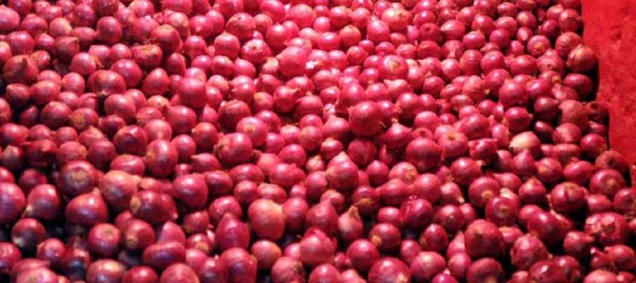 onion stolan from farm onion stolan from farm- India TV Hindi