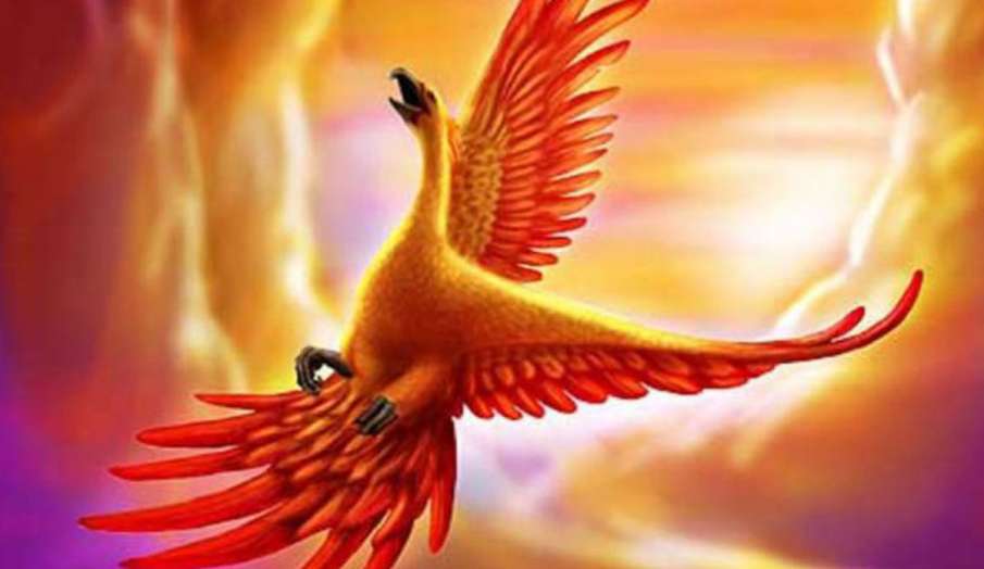 phoenix bird phoenix bird- India TV Hindi