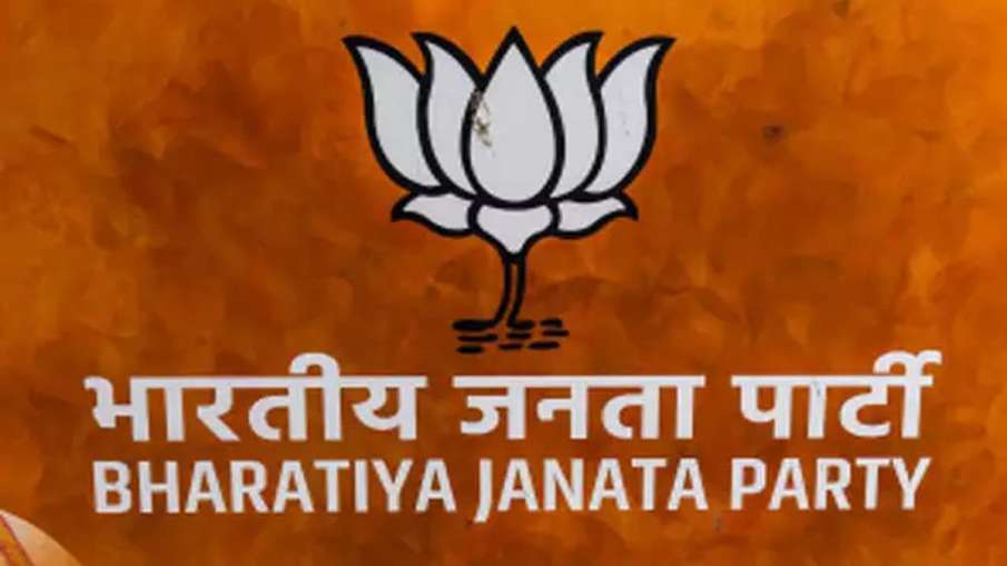 BJP holds meetings to review party's debacle in Delhi Assembly polls BJP holds meetings to review party's debacle in Delhi Assembly polls- India TV Hindi