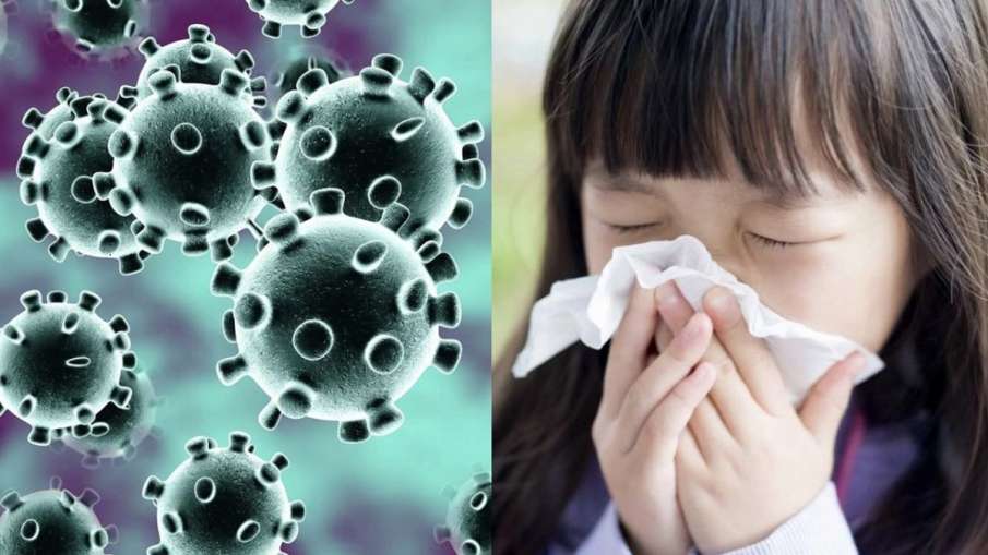 Coronavirus Coronavirus- India TV Hindi