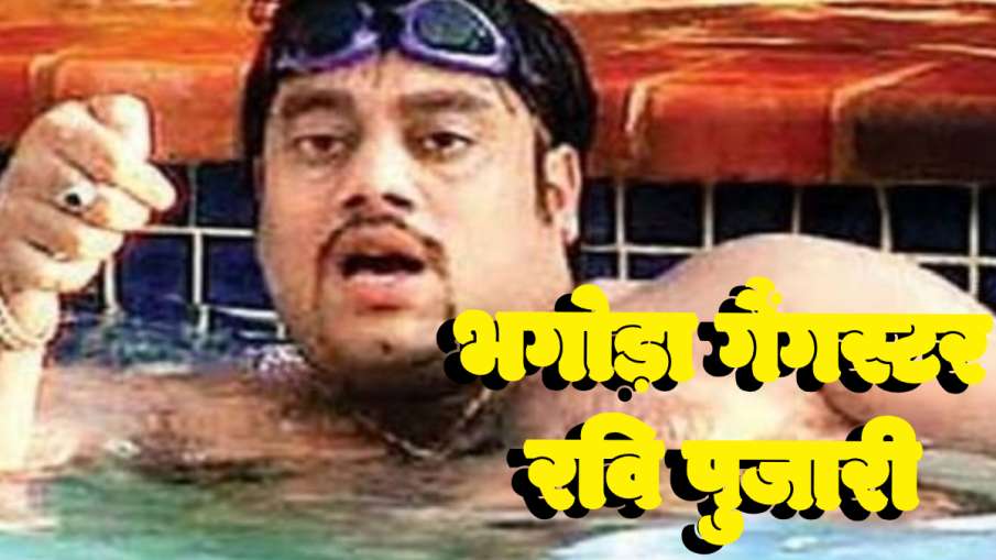 भगोड़े गैंगस्टर रवि पुजारी को पश्चिमी अफ्रीका के देश सेनेगल से फिर गिरफ्तार कर लिया गया है। भगोड़े गैंगस्टर रवि पुजारी को पश्चिमी अफ्रीका के देश सेनेगल से फिर गिरफ्तार कर लिया गया है।- India TV Hindi