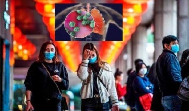 coronavirus coronavirus- India TV Hindi