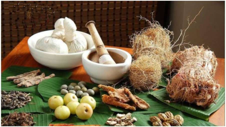 US to Start Clinical trial of Ayurvedik Drugs of... US to Start Clinical trial of Ayurvedik Drugs of...- India TV Hindi