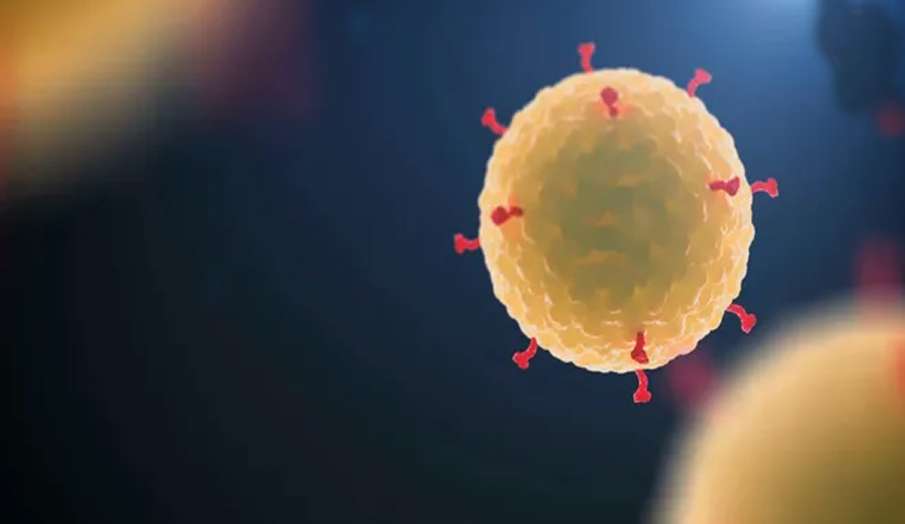 Coronavirus Coronavirus- India TV Hindi