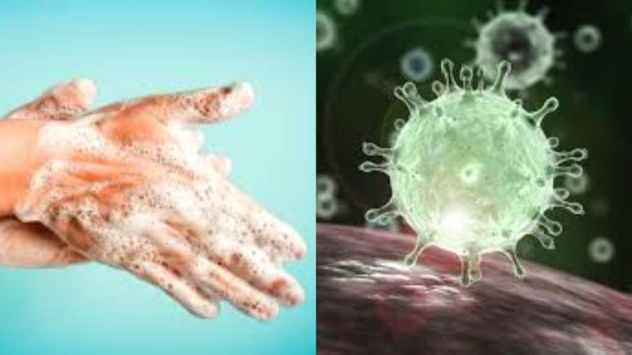 coronavirus coronavirus- India TV Hindi