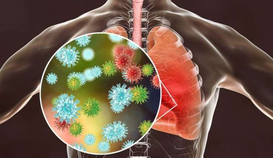 Coronavirus Coronavirus- India TV Hindi