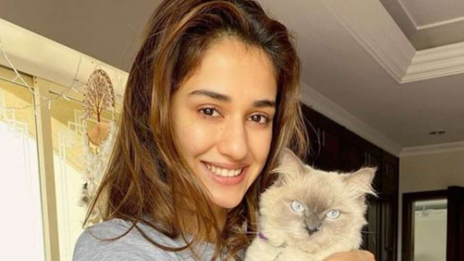 disha patani disha patani- India TV Hindi