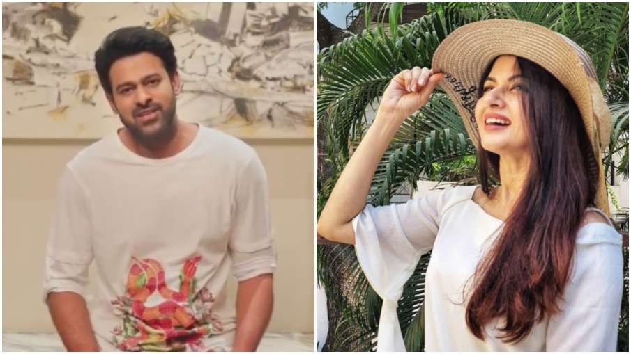 prabhas/bhagyashree prabhas/bhagyashree- India TV Hindi