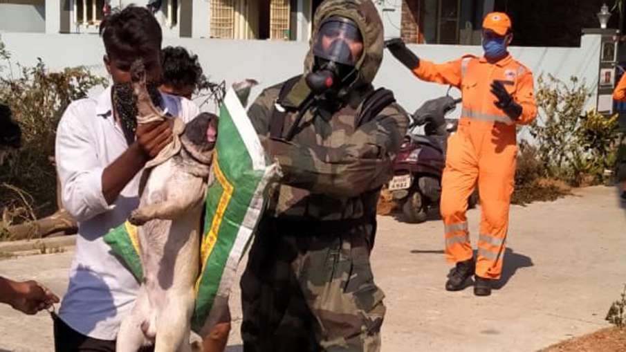 visakhapatnam gas leak, Visakhapatnam gas leak latest news, visakhapatnam latest news visakhapatnam gas leak, Visakhapatnam gas leak latest news, visakhapatnam latest news- India TV Hindi