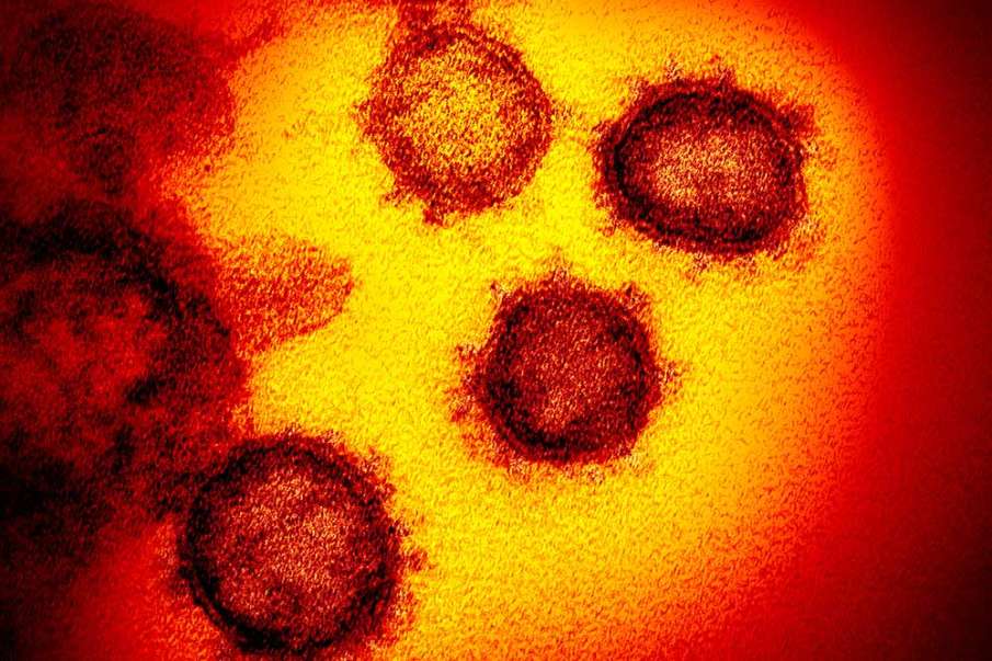 Coronavirus safety rules must for one year in Kerala Coronavirus safety rules must for one year in Kerala- India TV Hindi
