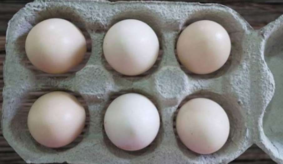 फ्रिज में अंडा रखना हो सकता है सेहत के लिए खतरनाक, egg फ्रिज में अंडा रखना हो सकता है सेहत के लिए खतरनाक, egg- India TV Hindi