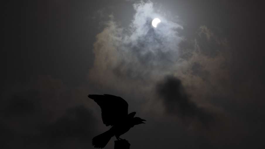 A crow is silhouetted against a partial solar eclipse in Hefer Valley, Israel. A crow is silhouetted against a partial solar eclipse in Hefer Valley, Israel.- India TV Hindi