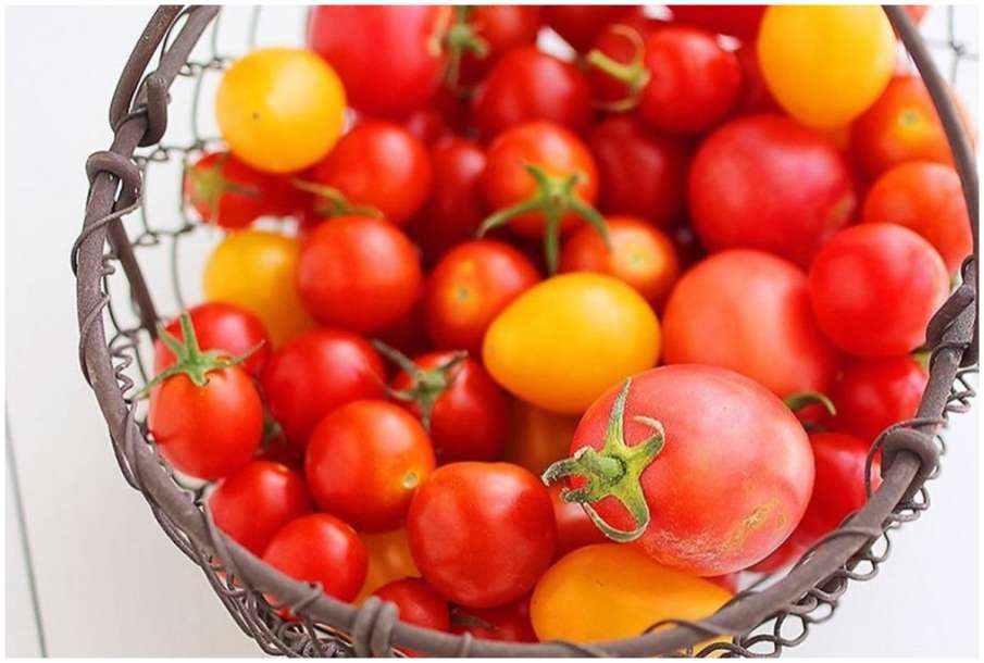 Tomato Tomato - India TV Hindi