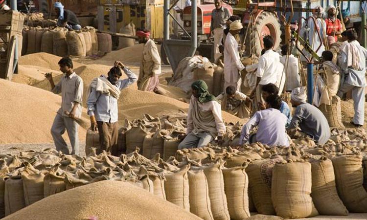 Wheat Procurement- India TV Paisa
