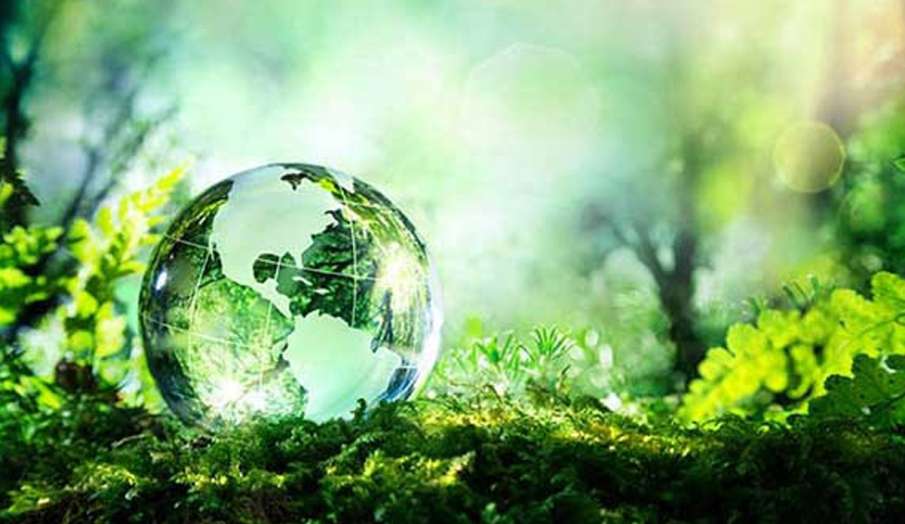 World Environment Day 2020: घर में रहकर आप इस तरह मनाएं विश्व पर्यावरण दिवस World Environment Day 2020: घर में रहकर आप इस तरह मनाएं विश्व पर्यावरण दिवस- India TV Hindi