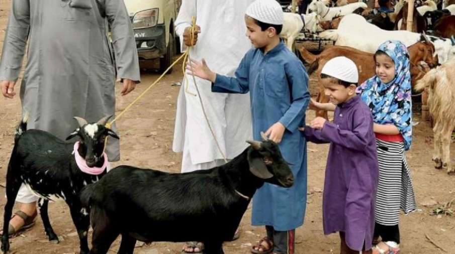 AIMIM सांसद ने बकरी ईद पर कुर्बानी पर पाबंदी मामले में विरोध जताया, कही ये बात AIMIM सांसद ने बकरी ईद पर कुर्बानी पर पाबंदी मामले में विरोध जताया, कही ये बात- India TV Hindi