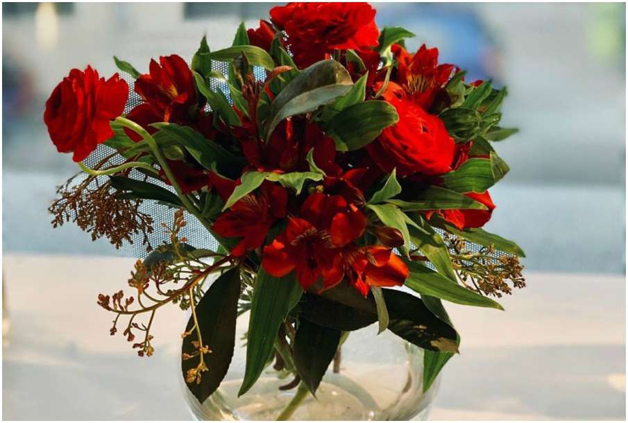 Flower Flower- India TV Hindi