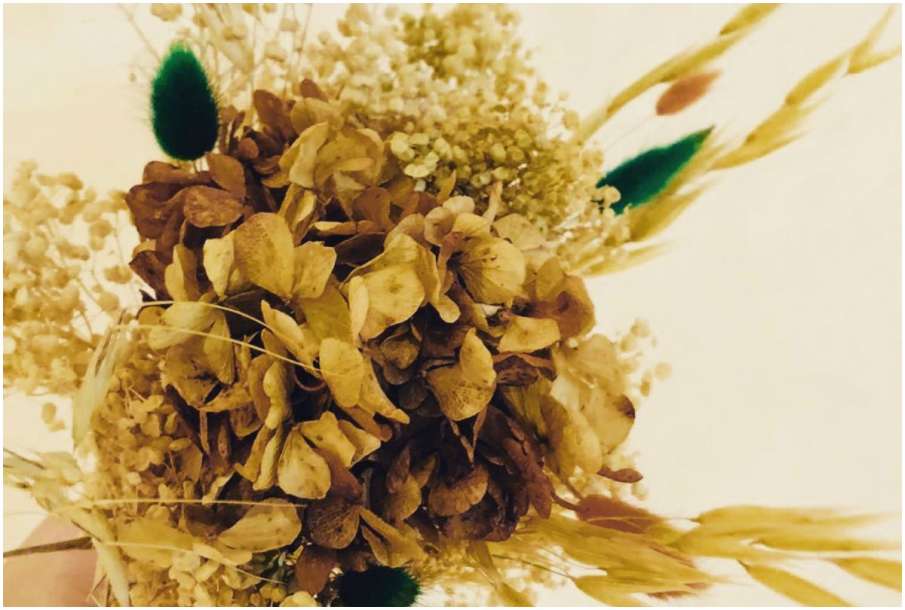 Dry Flowers Dry Flowers- India TV Hindi