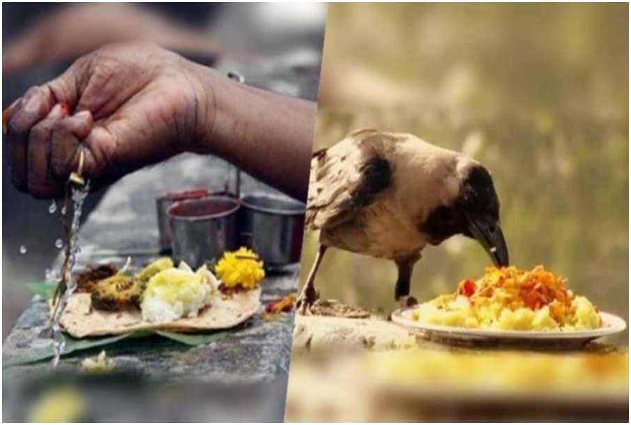 Pitri Paksha Pitri Paksha- India TV Hindi