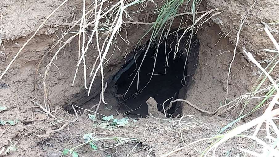 BSF detects tunnel along India-Pakistan border in Jammu BSF detects tunnel along India-Pakistan border in Jammu- India TV Hindi