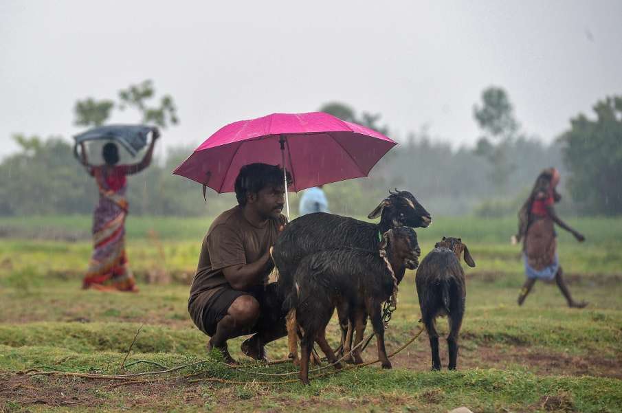 heavy rainfall predicted in balaghat tikamgarh damoh sagar madhya pradesh । इन चार जिलों में अत्यधिक heavy rainfall predicted in balaghat tikamgarh damoh sagar madhya pradesh । इन चार जिलों में अत्यधिक- India TV Hindi