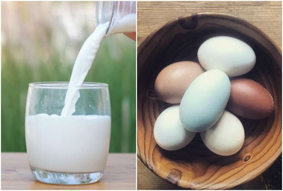 Milk and Egg Milk and Egg- India TV Hindi