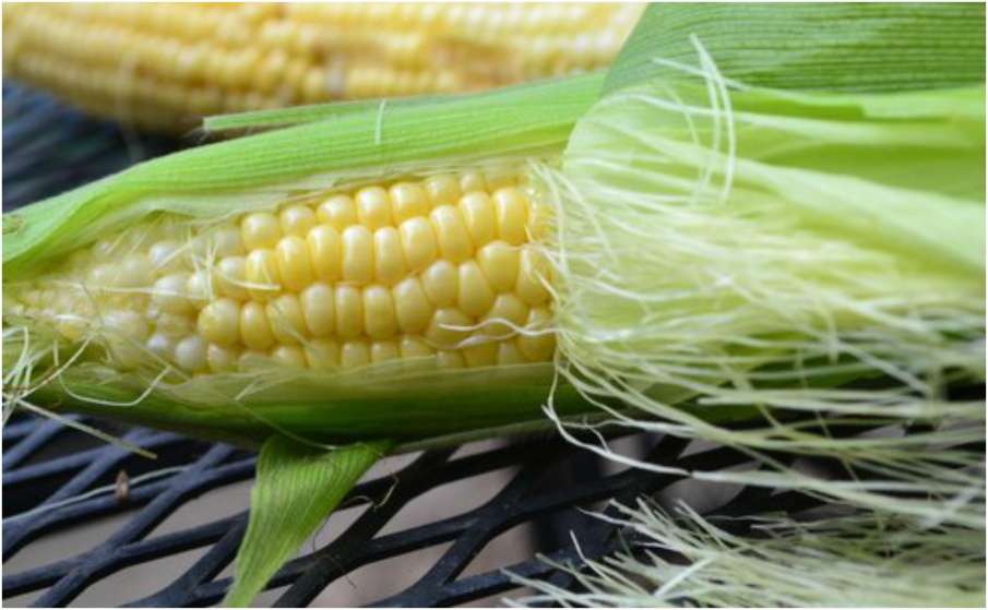 Corn Silk Corn Silk - India TV Hindi