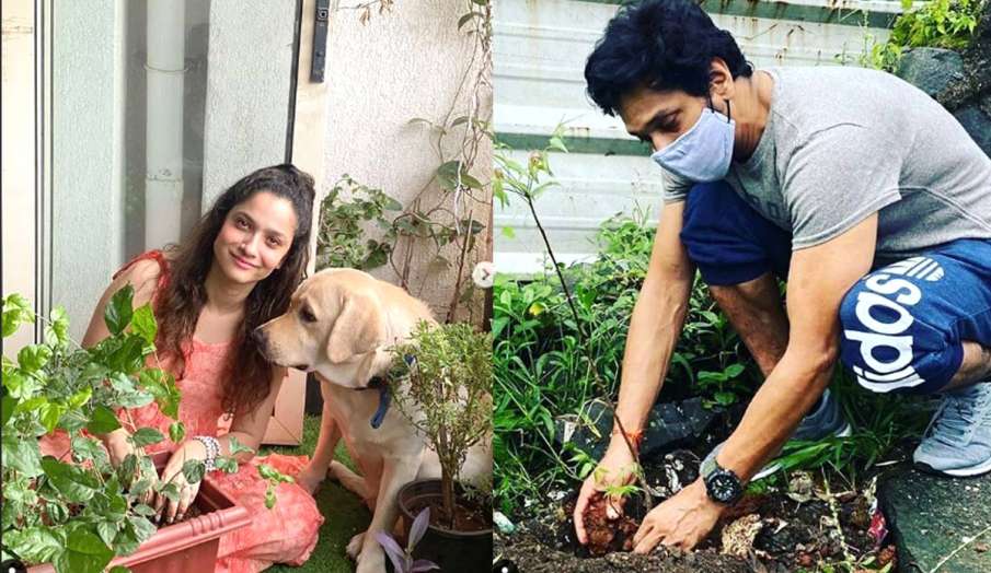 ankita lokhande mahesh shetty sushant plants for ssr ankita lokhande mahesh shetty sushant plants for ssr - India TV Hindi