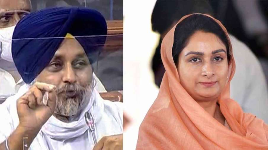 Punjab BJP, Punjab BJP Akali Dal, Shiromani Akali Dal NDA, Shiromani Akali Dal BJP Punjab BJP, Punjab BJP Akali Dal, Shiromani Akali Dal NDA, Shiromani Akali Dal BJP- India TV Hindi