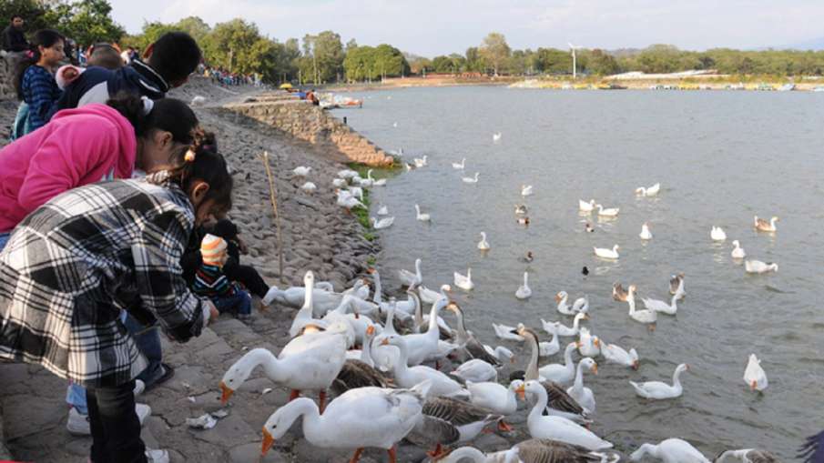 Chandigarh: Sukhna Lake to remain closed this weekend due to Coronavirus spread Chandigarh: Sukhna Lake to remain closed this weekend due to Coronavirus spread- India TV Hindi