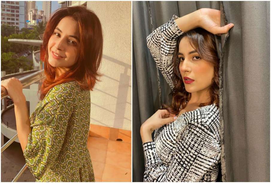 Shehnaaz Kaur Gill Shehnaaz Kaur Gill- India TV Hindi