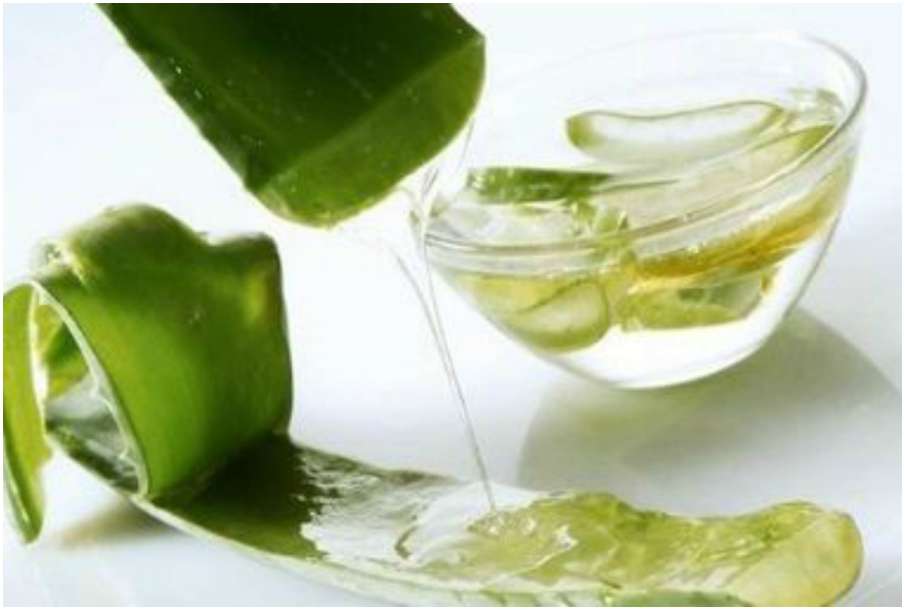 aloe vera aloe vera- India TV Hindi