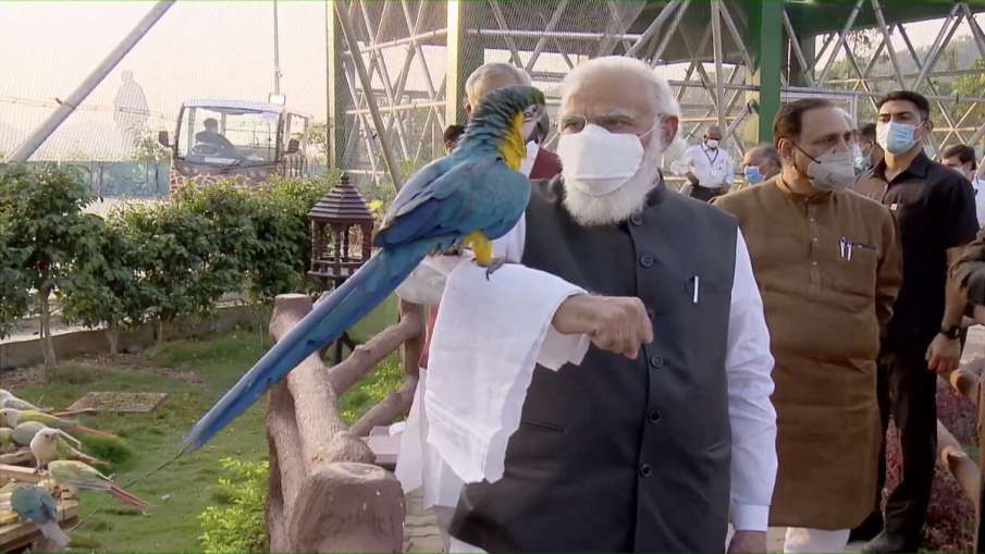 PM Narendra Modi inaugurates Jungle Safari at Sardar... PM Narendra Modi inaugurates Jungle Safari at Sardar...- India TV Hindi