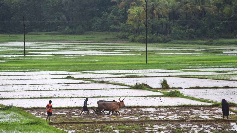 Rahul Gandhi attacks PM Narendra Modi over new agriculture laws । किसानों का जिक्र करते हुए राहुल गा Rahul Gandhi attacks PM Narendra Modi over new agriculture laws । किसानों का जिक्र करते हुए राहुल गा- India TV Hindi