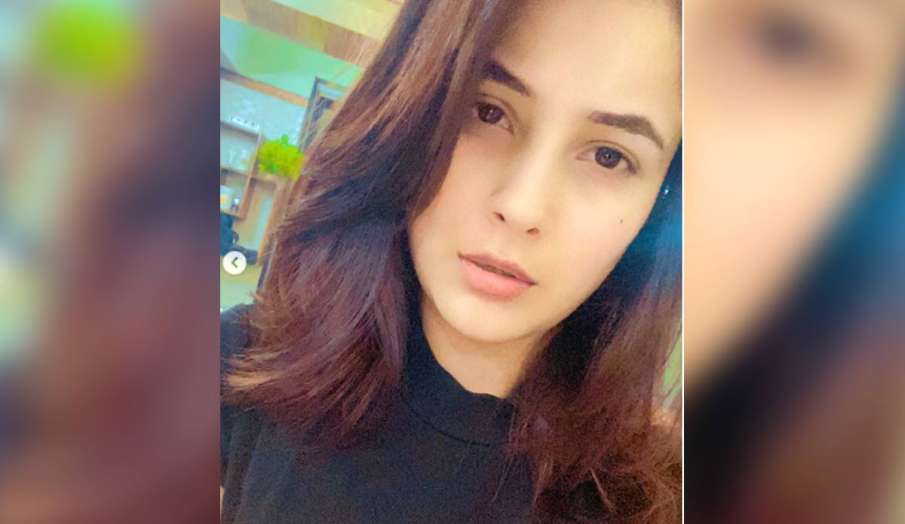 Shehnaz Gill Shehnaz Gill- India TV Hindi