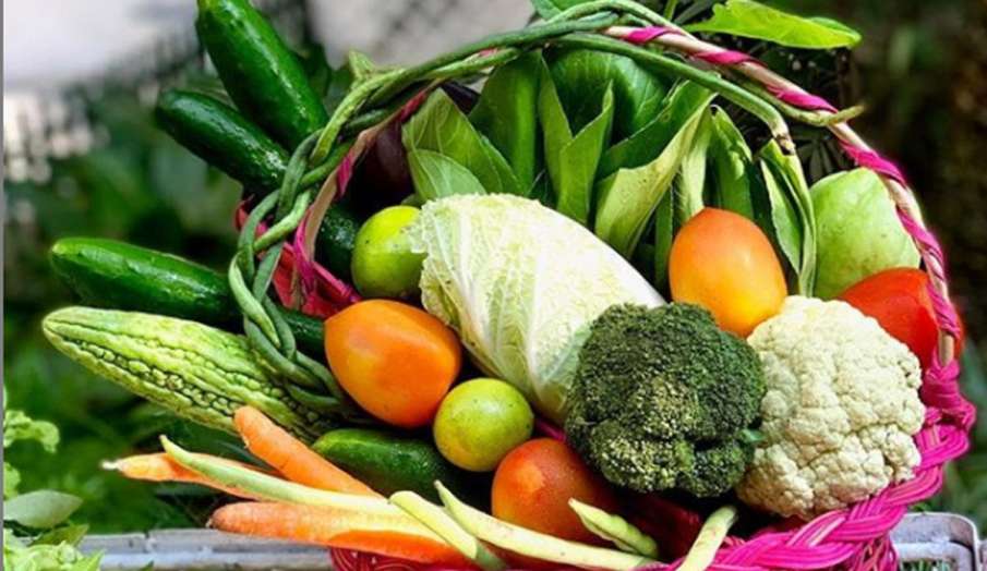 World Food Day 2020: अपनी डाइट में शामिल करें ये पांच सुपरफूड्स, कोरोना सहित अन्य बीमारियां रहेगी को World Food Day 2020: अपनी डाइट में शामिल करें ये पांच सुपरफूड्स, कोरोना सहित अन्य बीमारियां रहेगी को- India TV Hindi