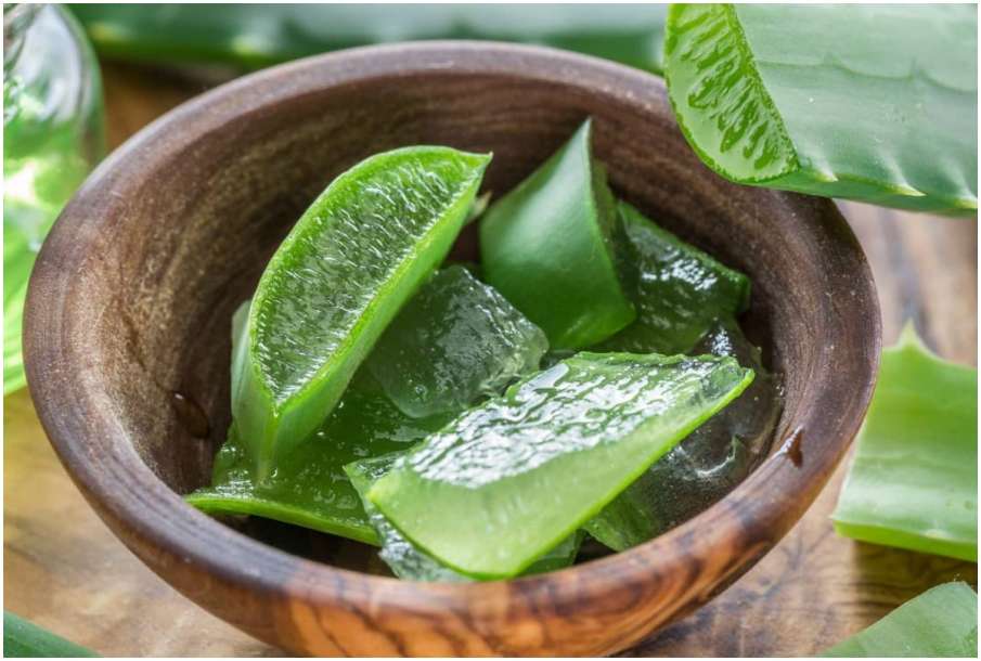 aloe vera aloe vera- India TV Hindi