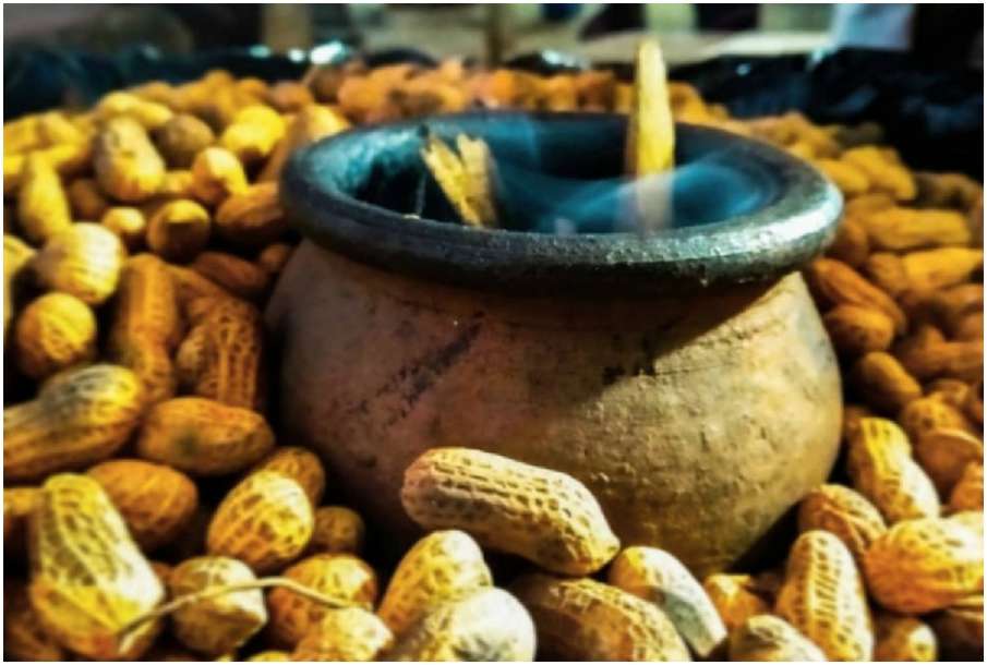 Peanuts or Moongfali Peanuts or Moongfali- India TV Hindi