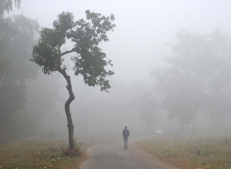 Biting cold grips north India; eight killed in UP... Biting cold grips north India; eight killed in UP...- India TV Hindi