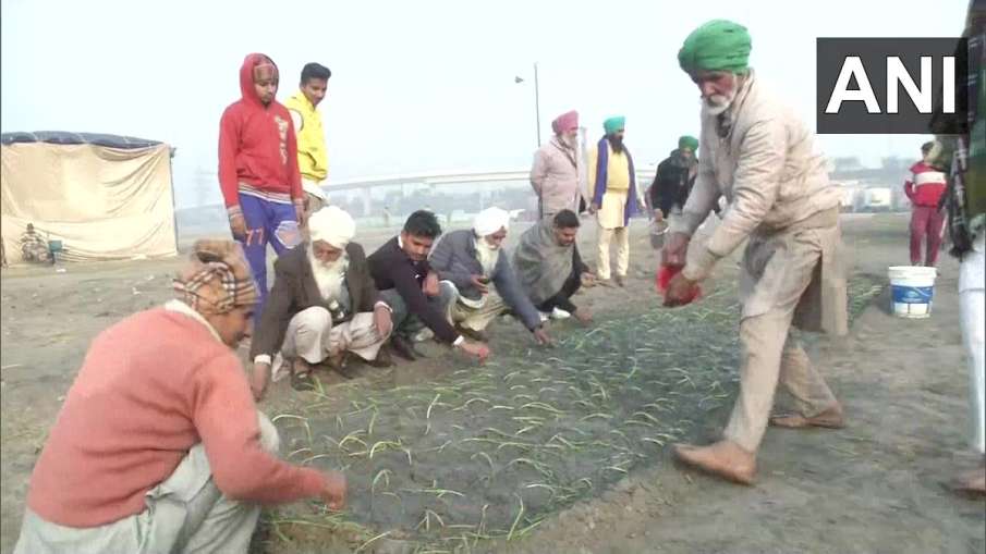 kisan andolan farmer growing crops at Nirankari Samagam ground in Burari Kisan Andolan: किसानों ने प kisan andolan farmer growing crops at Nirankari Samagam ground in Burari Kisan Andolan: किसानों ने प- India TV Hindi