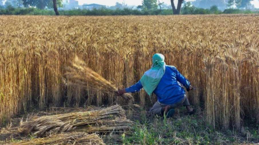 Farmers protest ripples reach Bihar- India TV Hindi