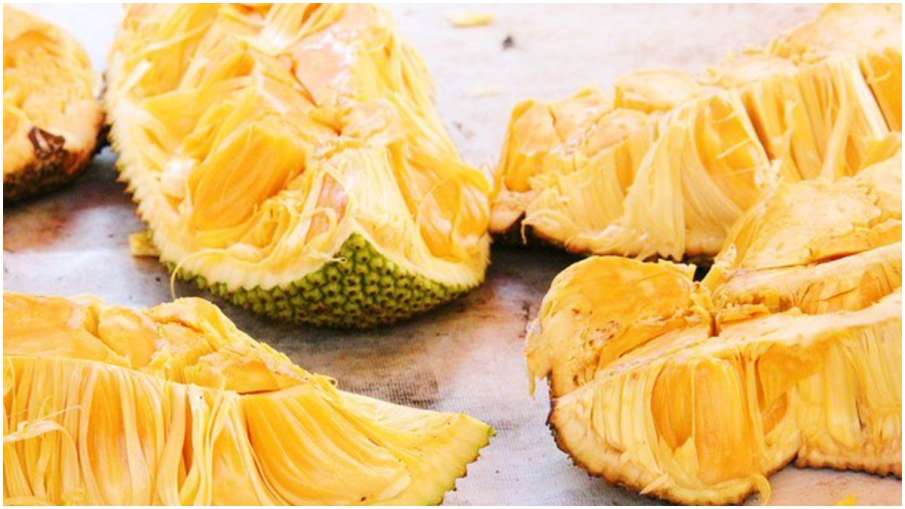 jackfruit powder is beneficial to control blood sugar know right way to