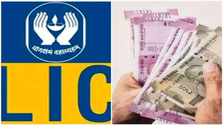 मोबाइल पर लें LIC पॉलिसी प्रीमियम की जानकारी, ऑनलाइन ऐसे चेक करें Policy स्टेटस मोबाइल पर लें LIC पॉलिसी प्रीमियम की जानकारी, ऑनलाइन ऐसे चेक करें Policy स्टेटस- India TV Hindi