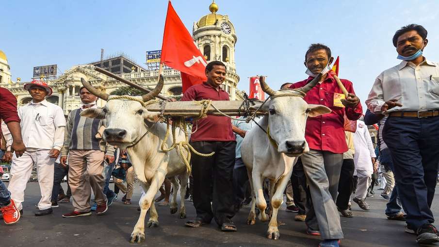 Kisan andolan hindi news modi govt new farm law farmer protest delhi up singhu border live updates। Kisan andolan hindi news modi govt new farm law farmer protest delhi up singhu border live updates। - India TV Hindi