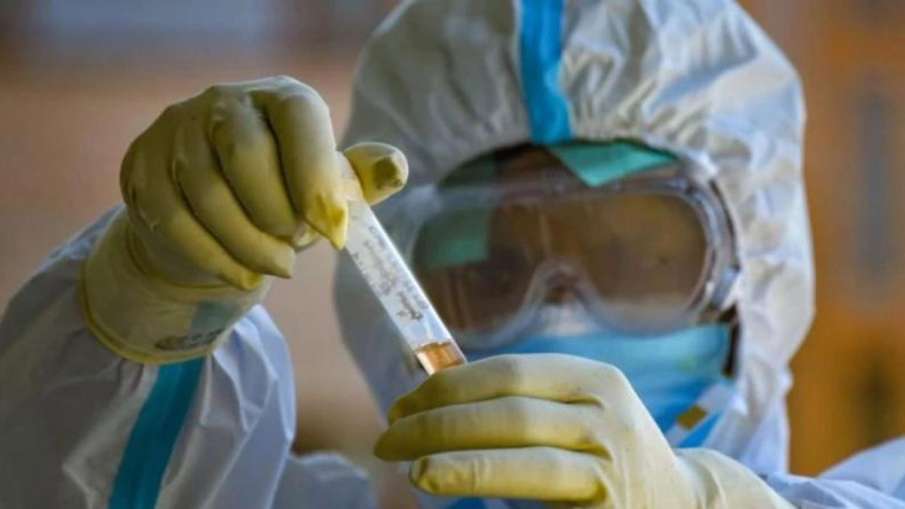 Rajasthan Woman Coronavirus, Woman Five Months Coronavirus, Rajasthan Woman Covid-19 Rajasthan Woman Coronavirus, Woman Five Months Coronavirus, Rajasthan Woman Covid-19- India TV Hindi