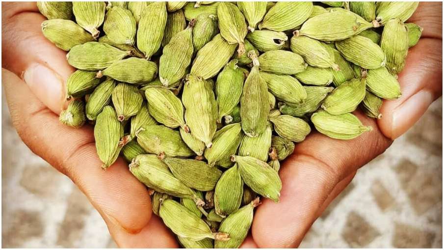 CARDAMOM CARDAMOM - India TV Hindi