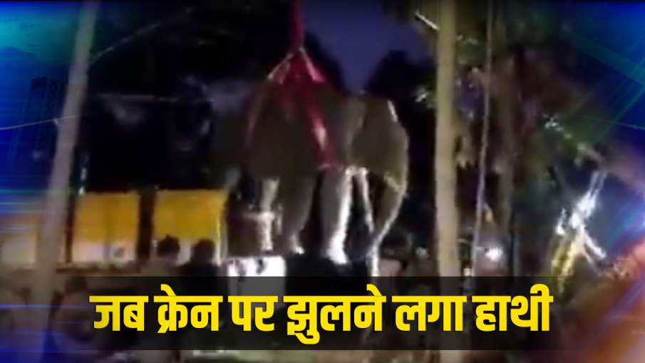 जब क्रेन पर झुलने लगा... जब क्रेन पर झुलने लगा...- India TV Hindi