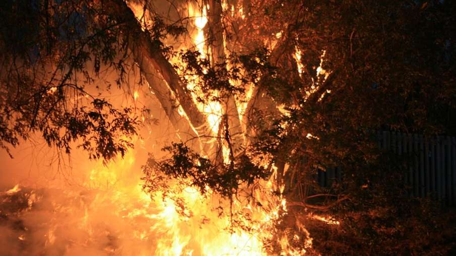 Man Burnt To Death, Man Burnt To Death Odisha, Man Burnt To Death Relatives, Angul Fire Man Burnt To Death, Man Burnt To Death Odisha, Man Burnt To Death Relatives, Angul Fire- India TV Hindi